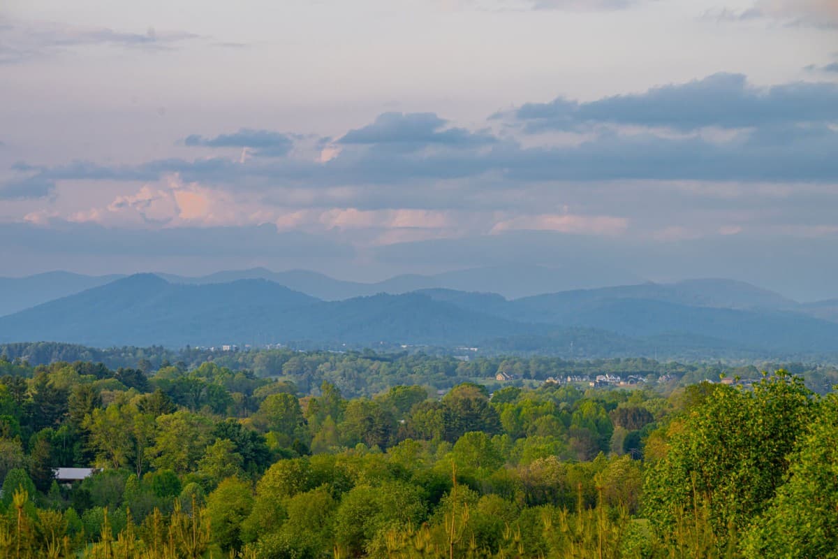 Bridlewood Farm - Image 7