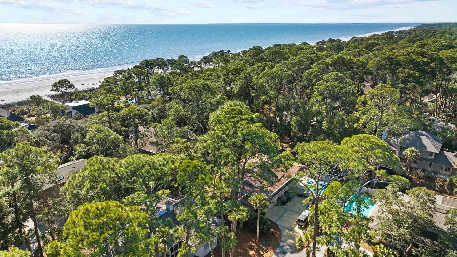 Pelican's Perch - Image 3