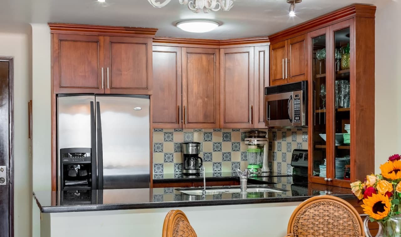 Ballena Condo #303  - Image 6