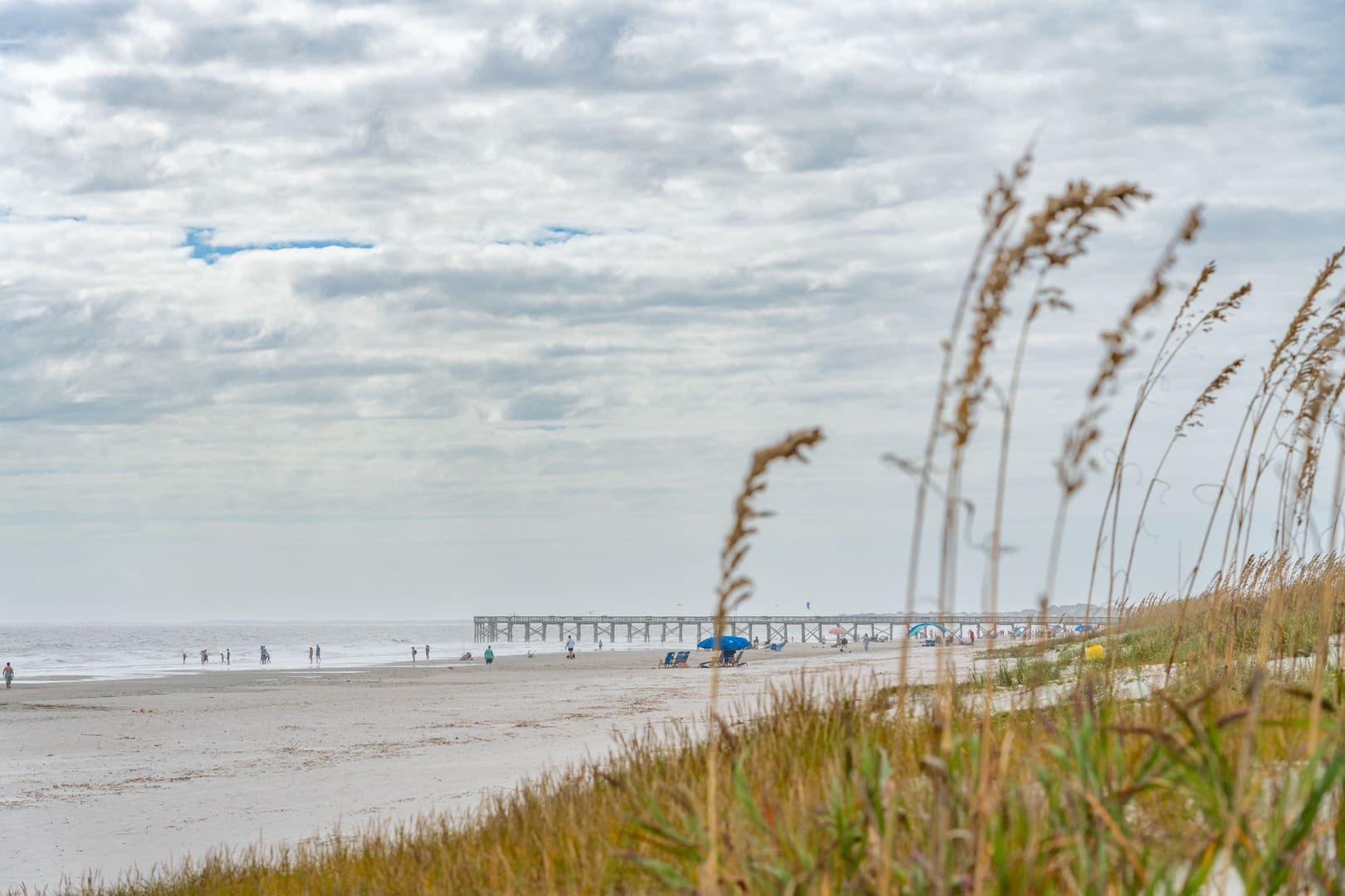 Endless Summer - Image 81