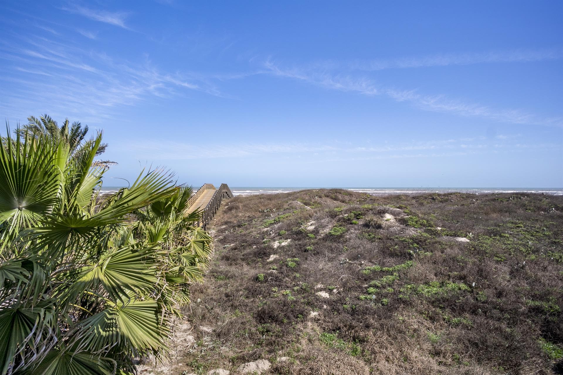 Sea of Dreams - Image 36