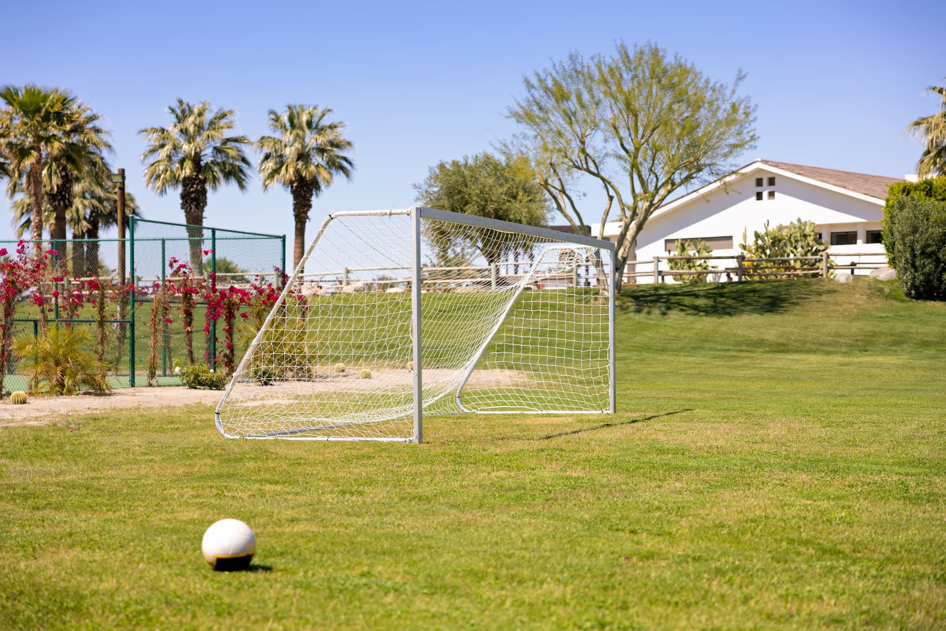 Buena Vista - Image 51