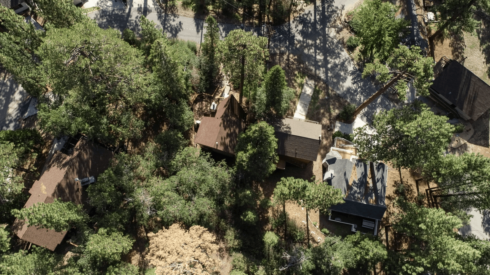 Bear's Lair - Image 26