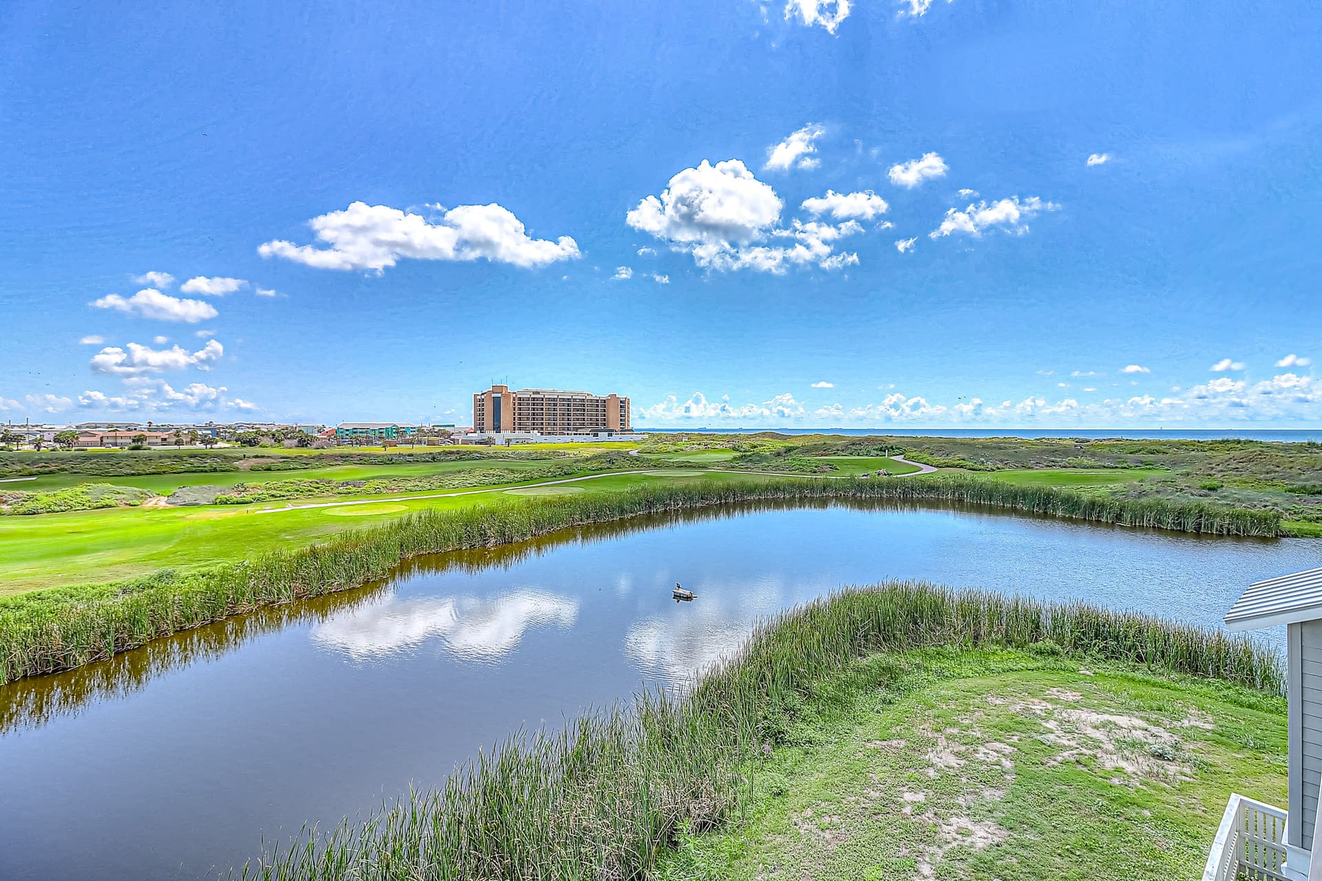 Cattail Castle - Image 3