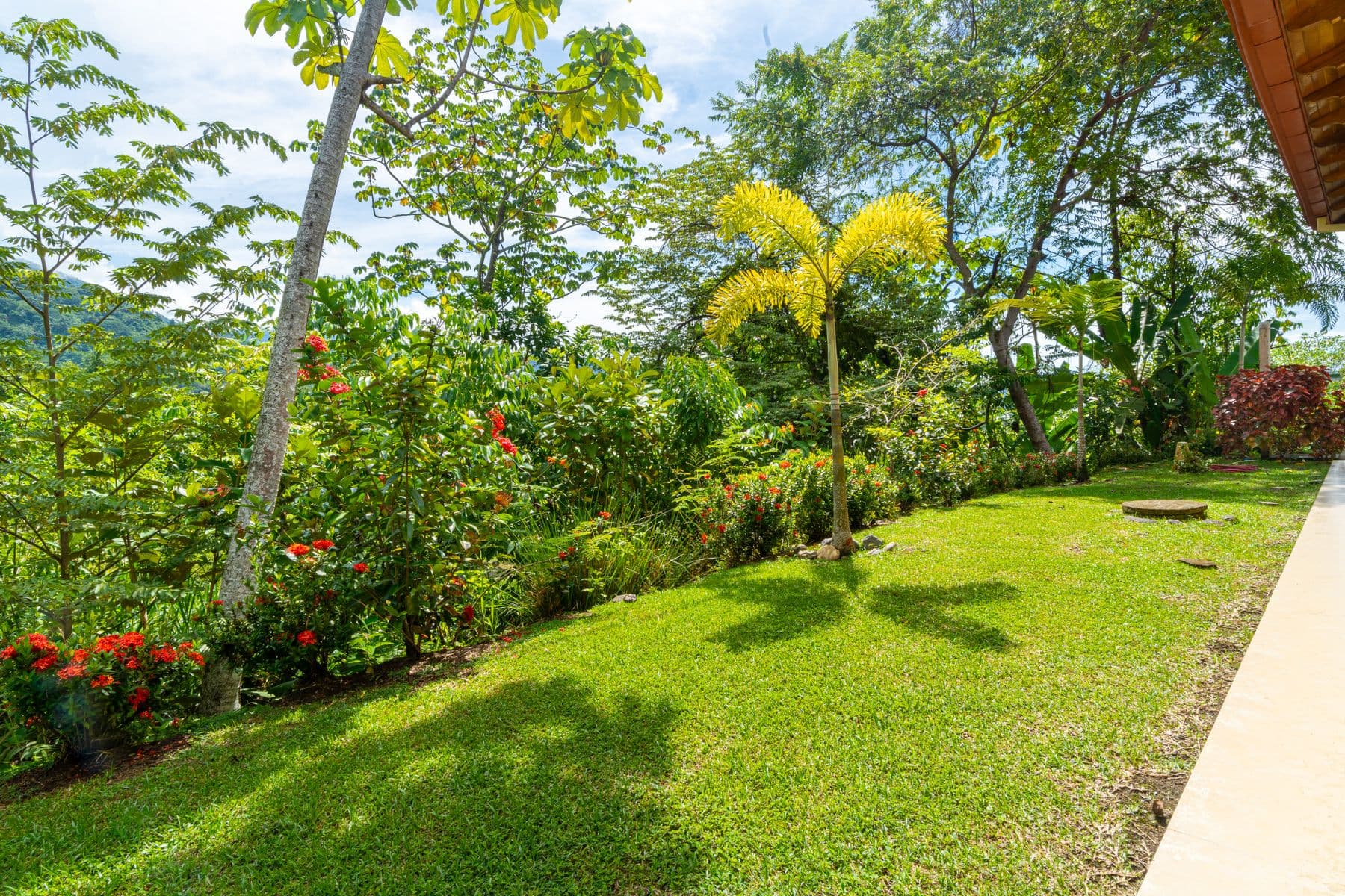 Casa de Guacamaya - Image 18