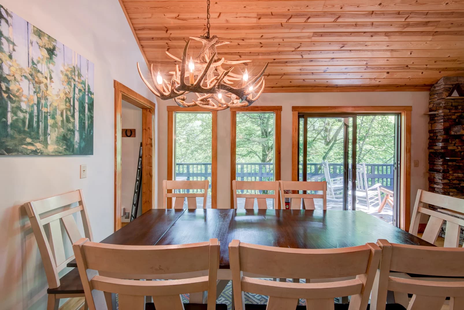 Paws a While - Image 12