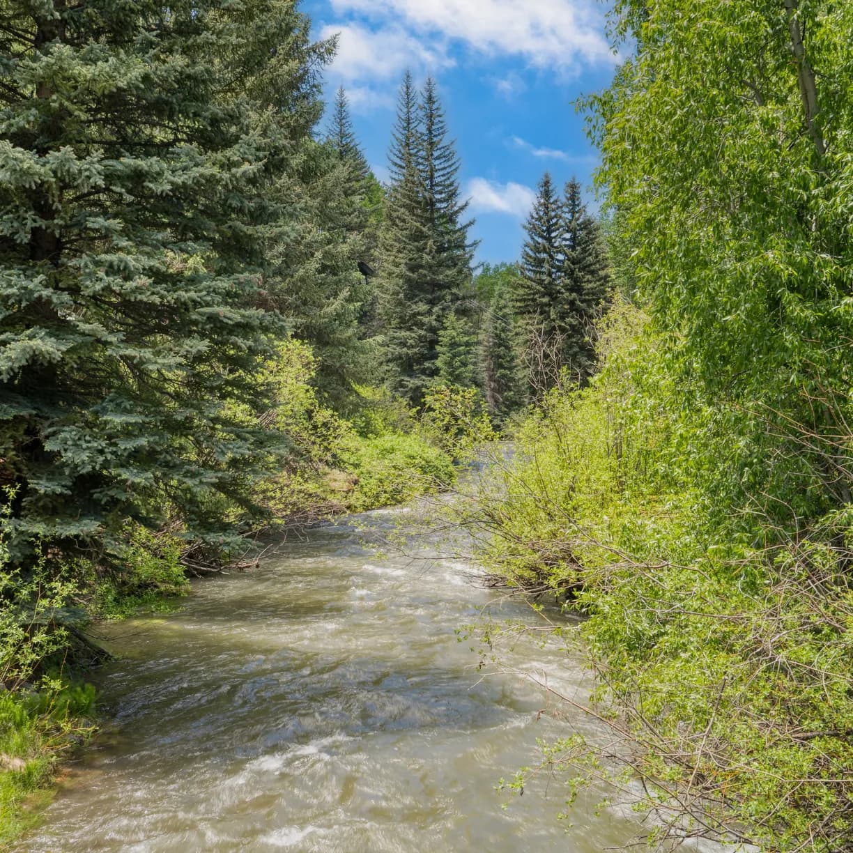 Manitou Riverhouse #115 - Image 15