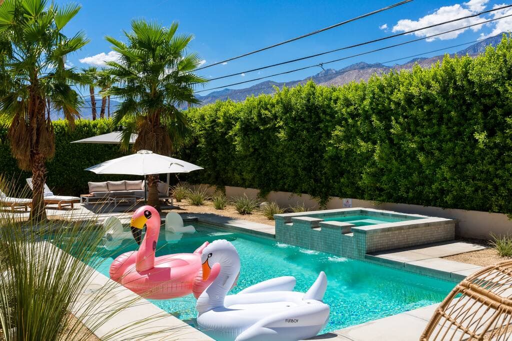 Lux Palmas - Image 17