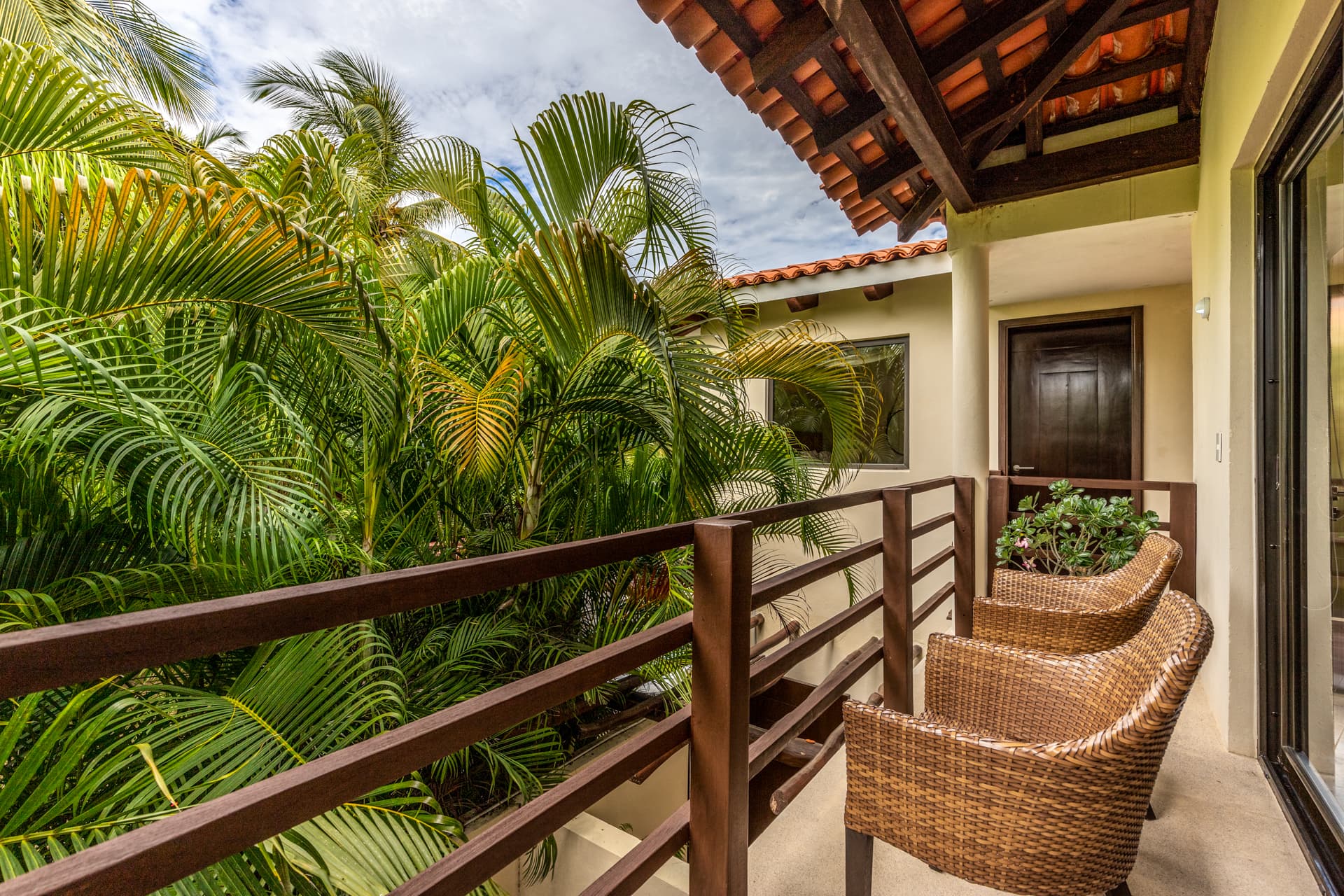 La Serenata #3 - Image 26