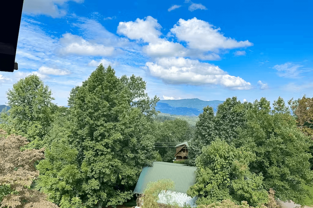 Little Black Bear Retreat - Image 2