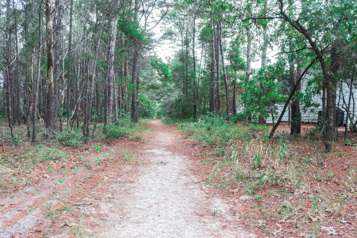 Serenity by the Sea - Image 41