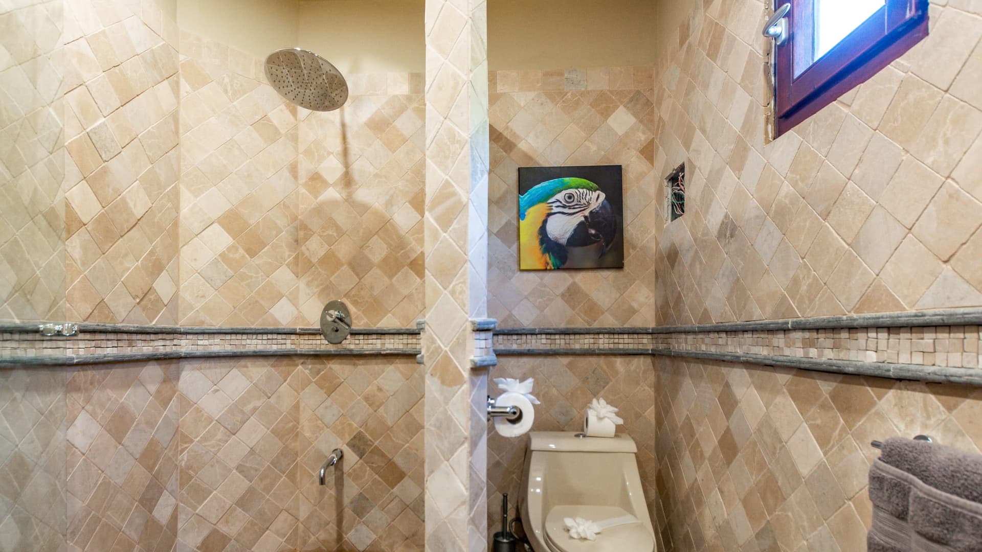 Hacienda Paraíso - Image 17