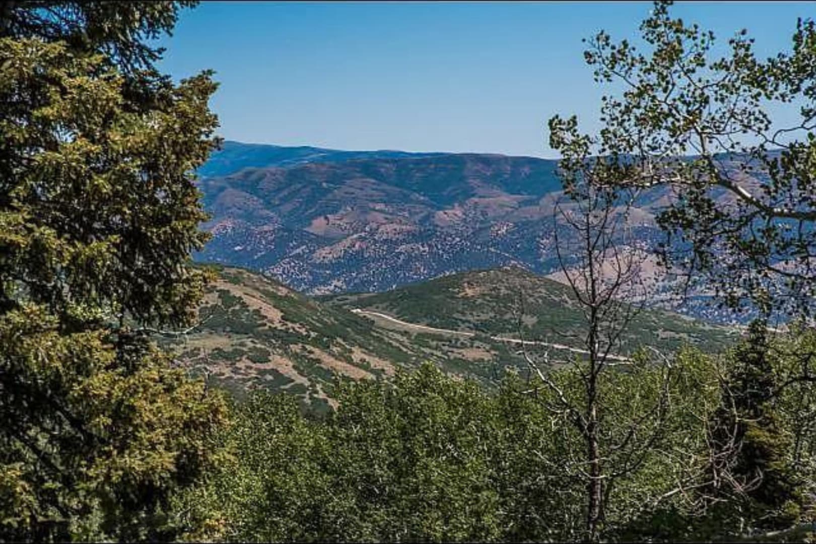 Unforgotten Utopia - Image 48