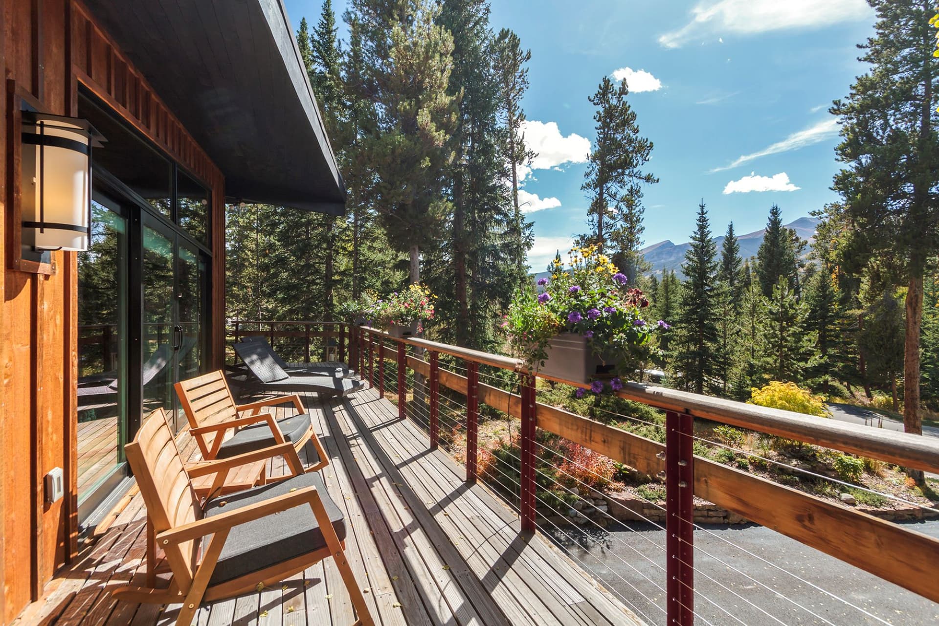 Royal Tiger Retreat - Image 3