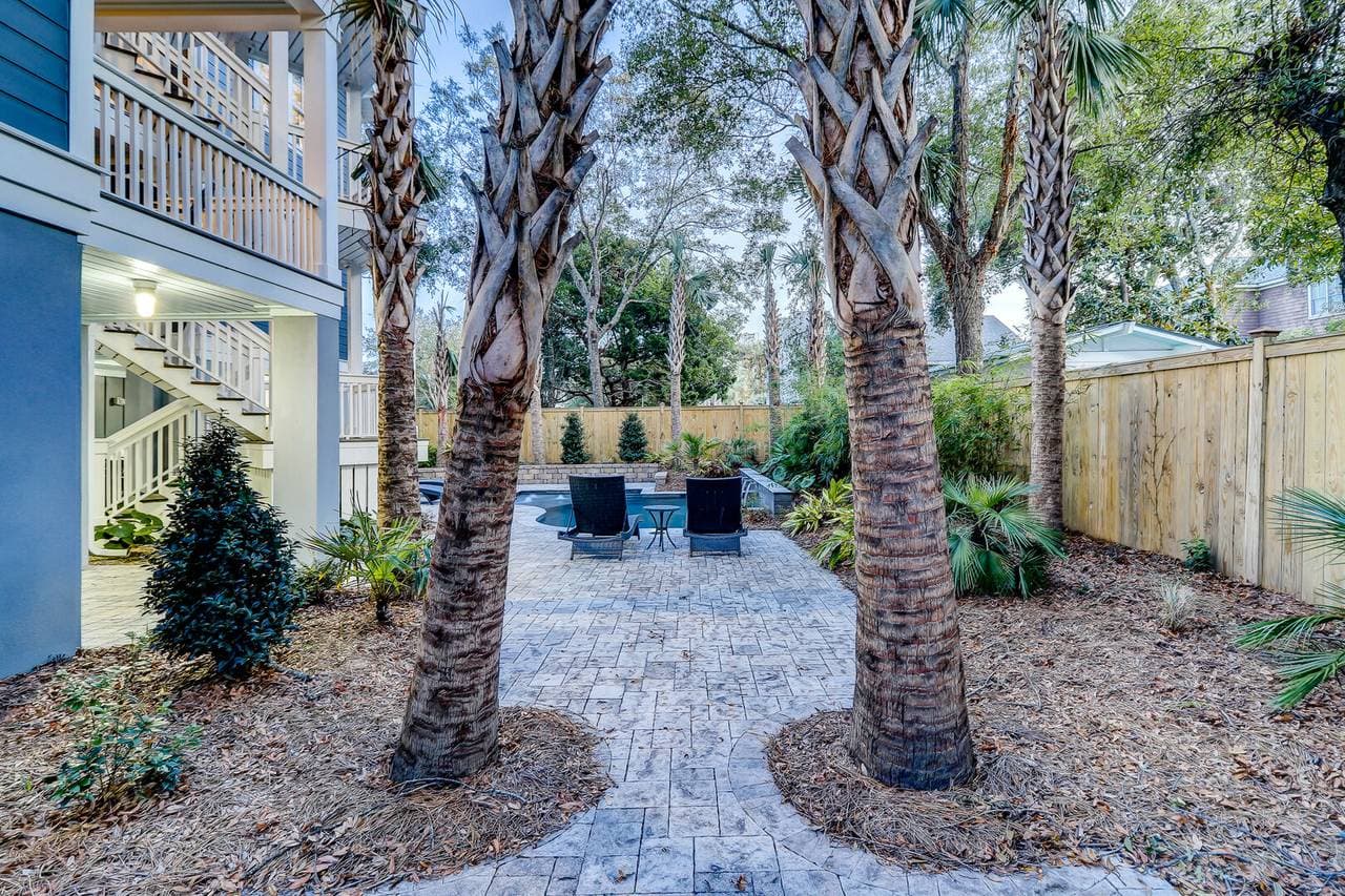 Blue Heron - Image 38