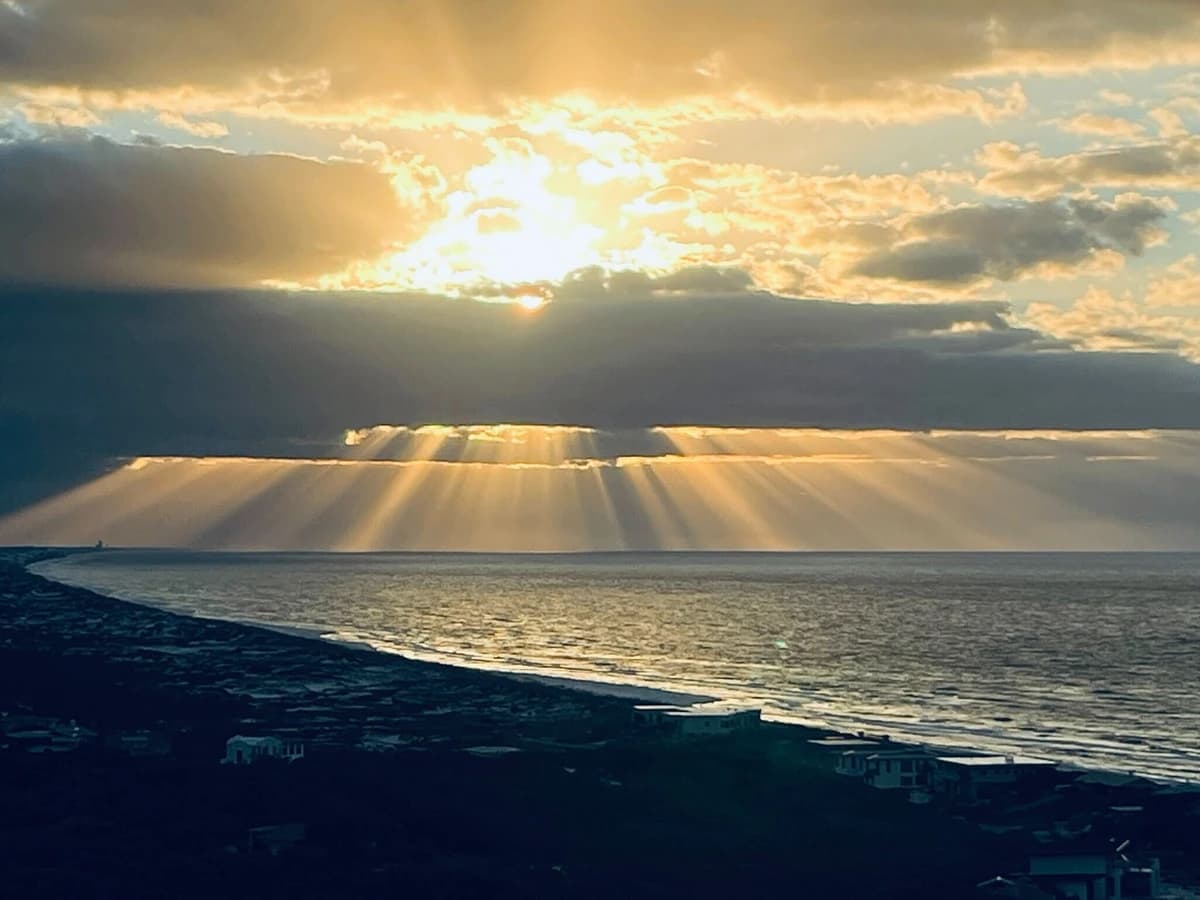 Coral Starfish - Image 45