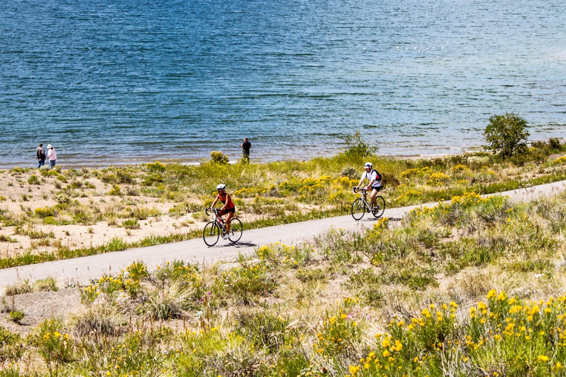 Dreamweaver Home - Image 29