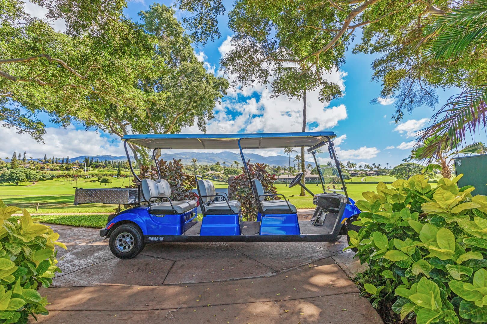 Maui Eldorado - Image 12