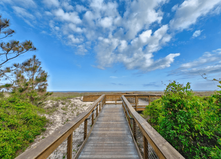 Five Beach Bums - Image 43