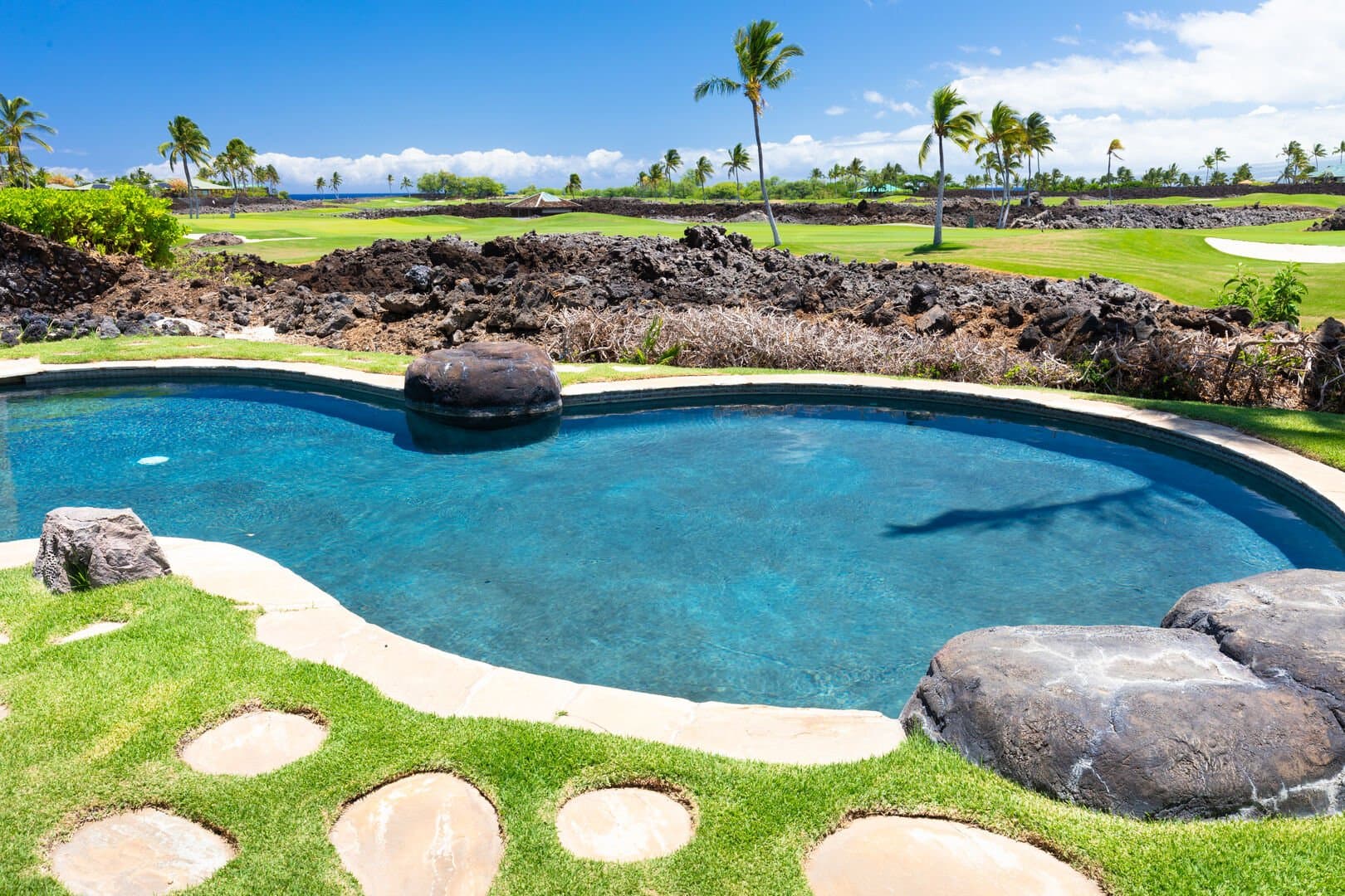 One Ocean Ohana - Image 52