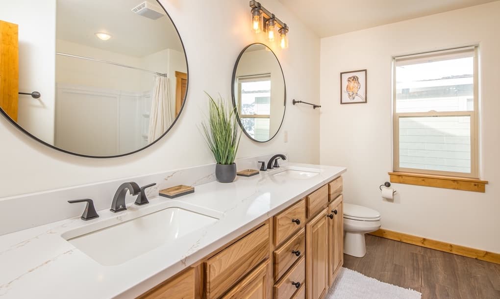 Blacktail Buck - Image 16