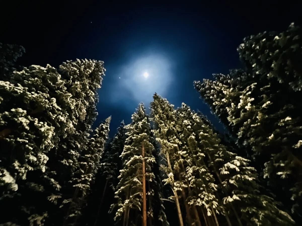 Creekside Chateau - Image 77