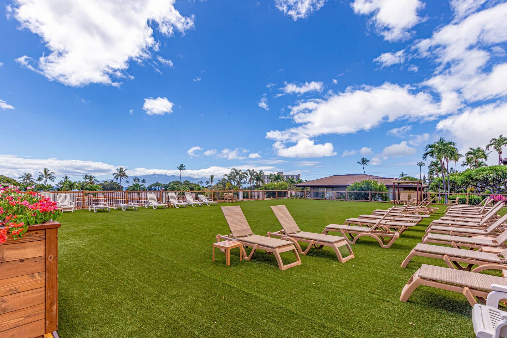 Maui Eldorado - Image 28