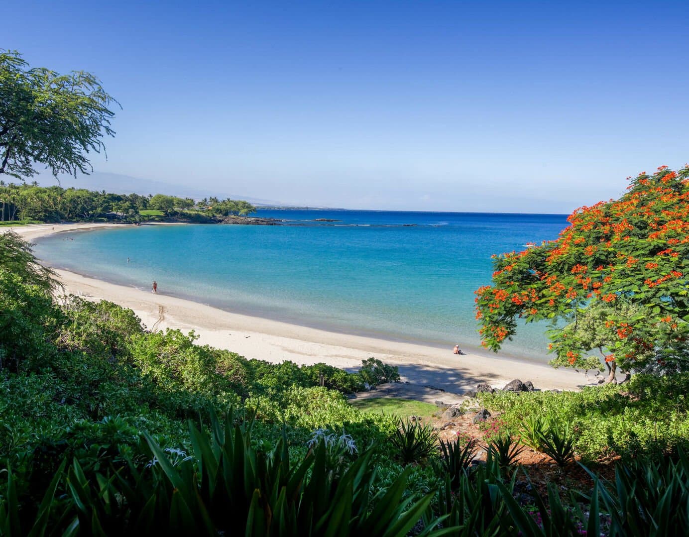 Majestic Ocean Villa - Image 27