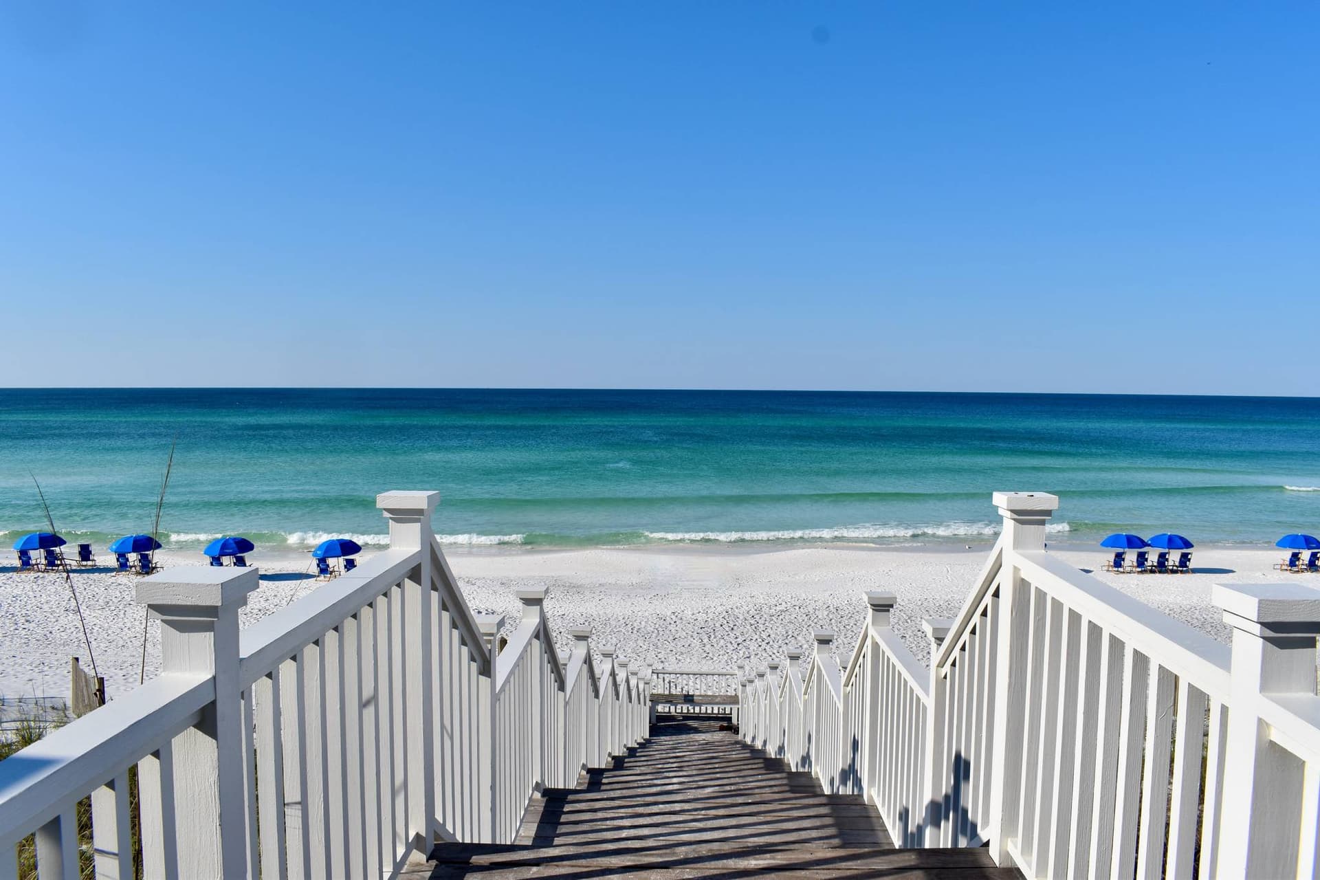 Splendor in the Sand - Image 46