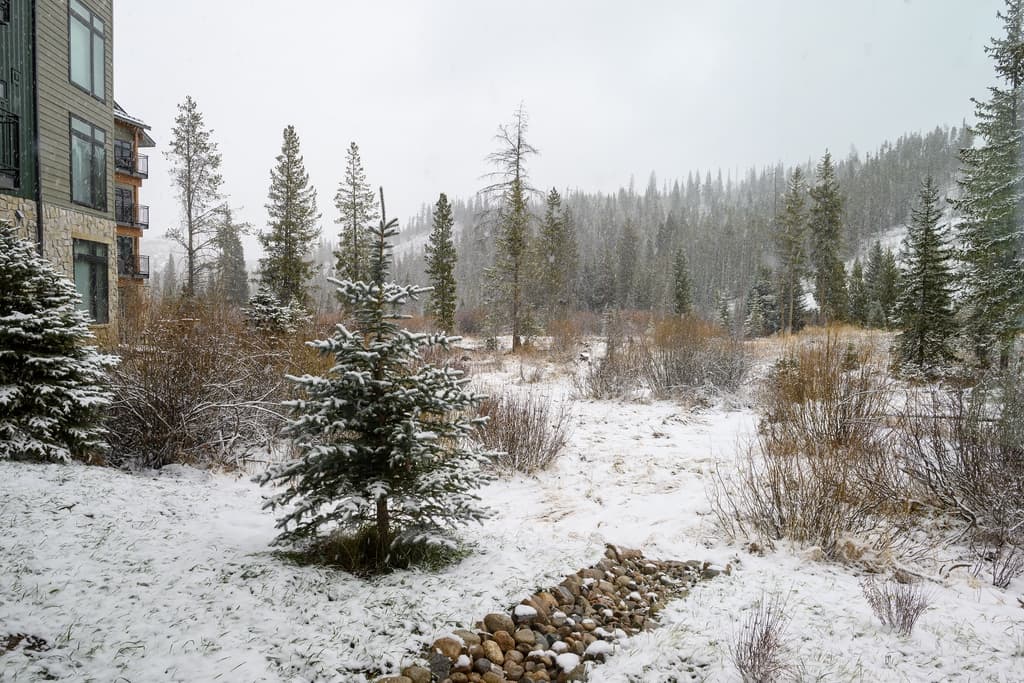 Timber Fox Residence 2102 - Image 26