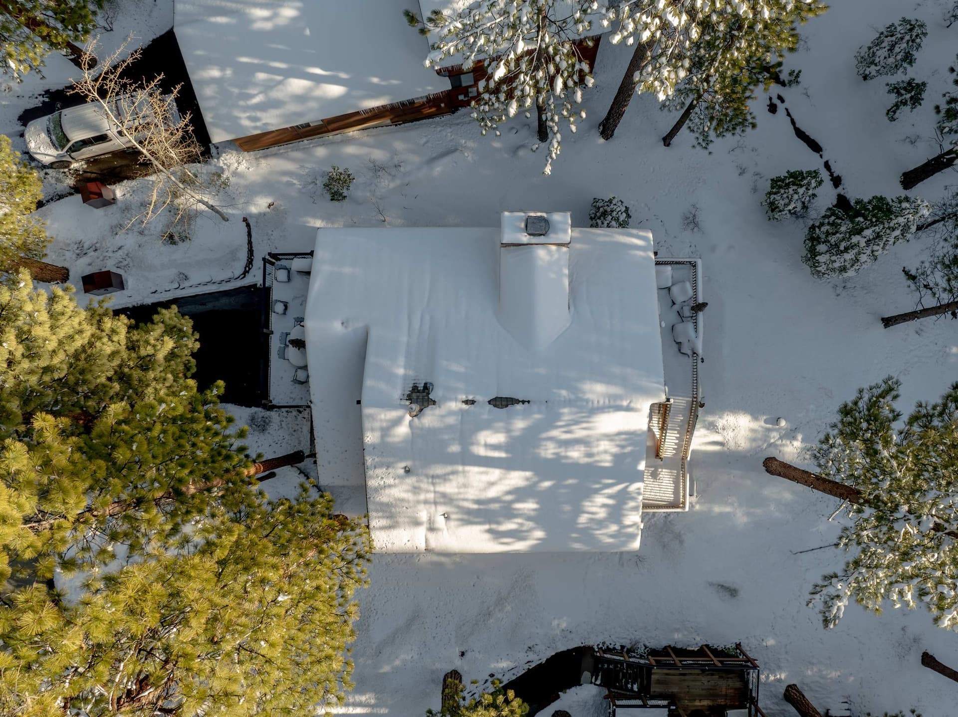 Lazy Bear - Image 38