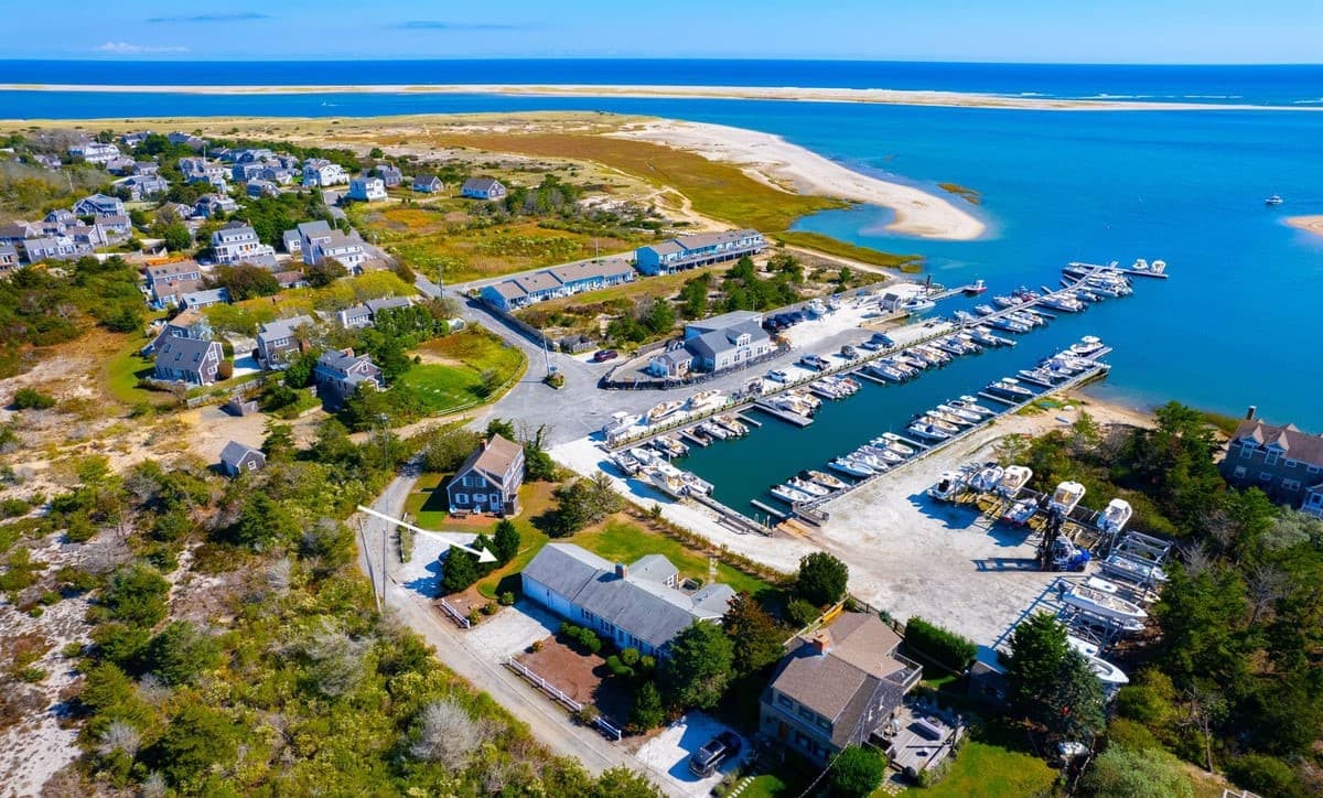 Whale Song - Image 21