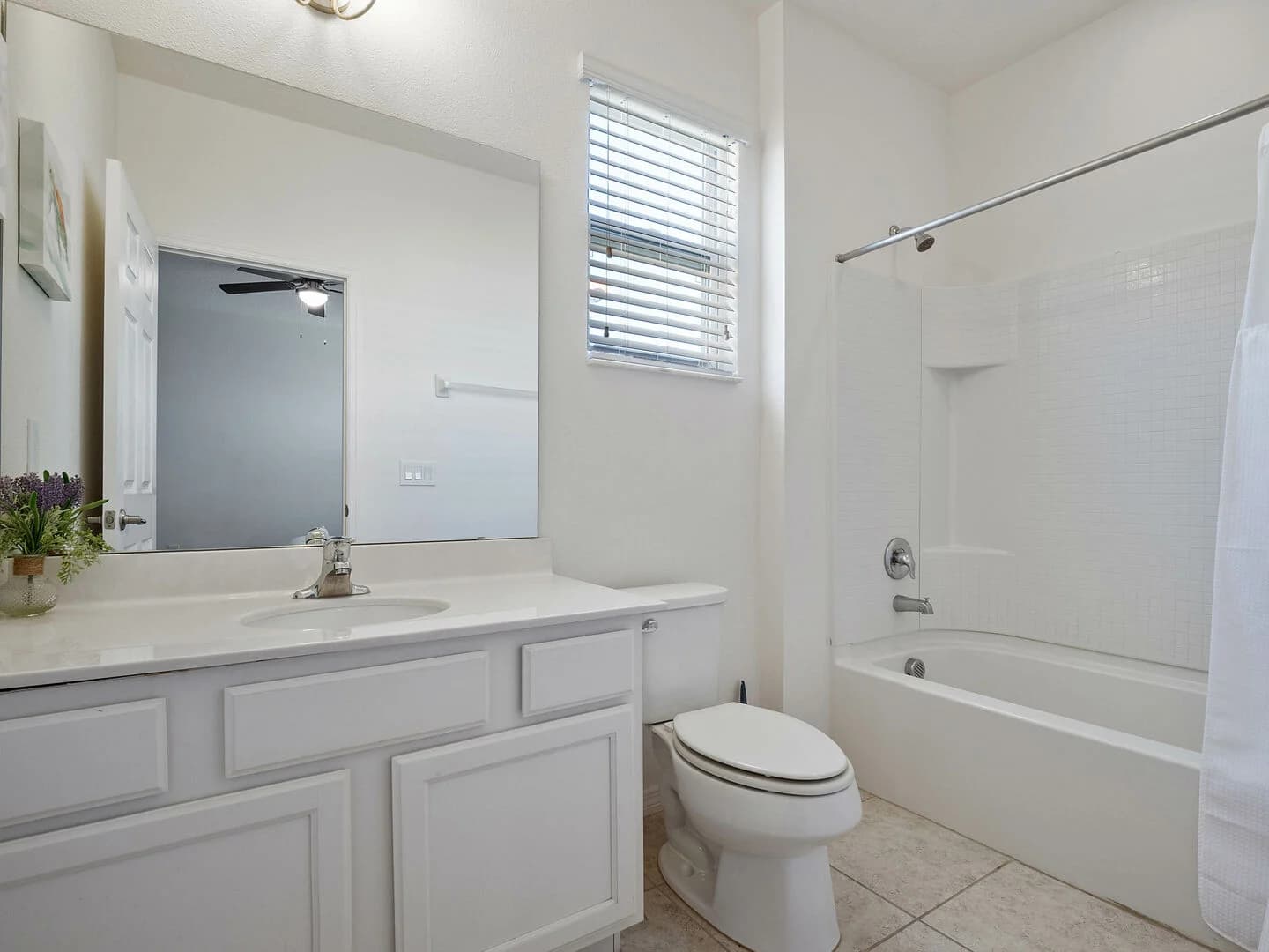 Florida Dreamin - Image 26