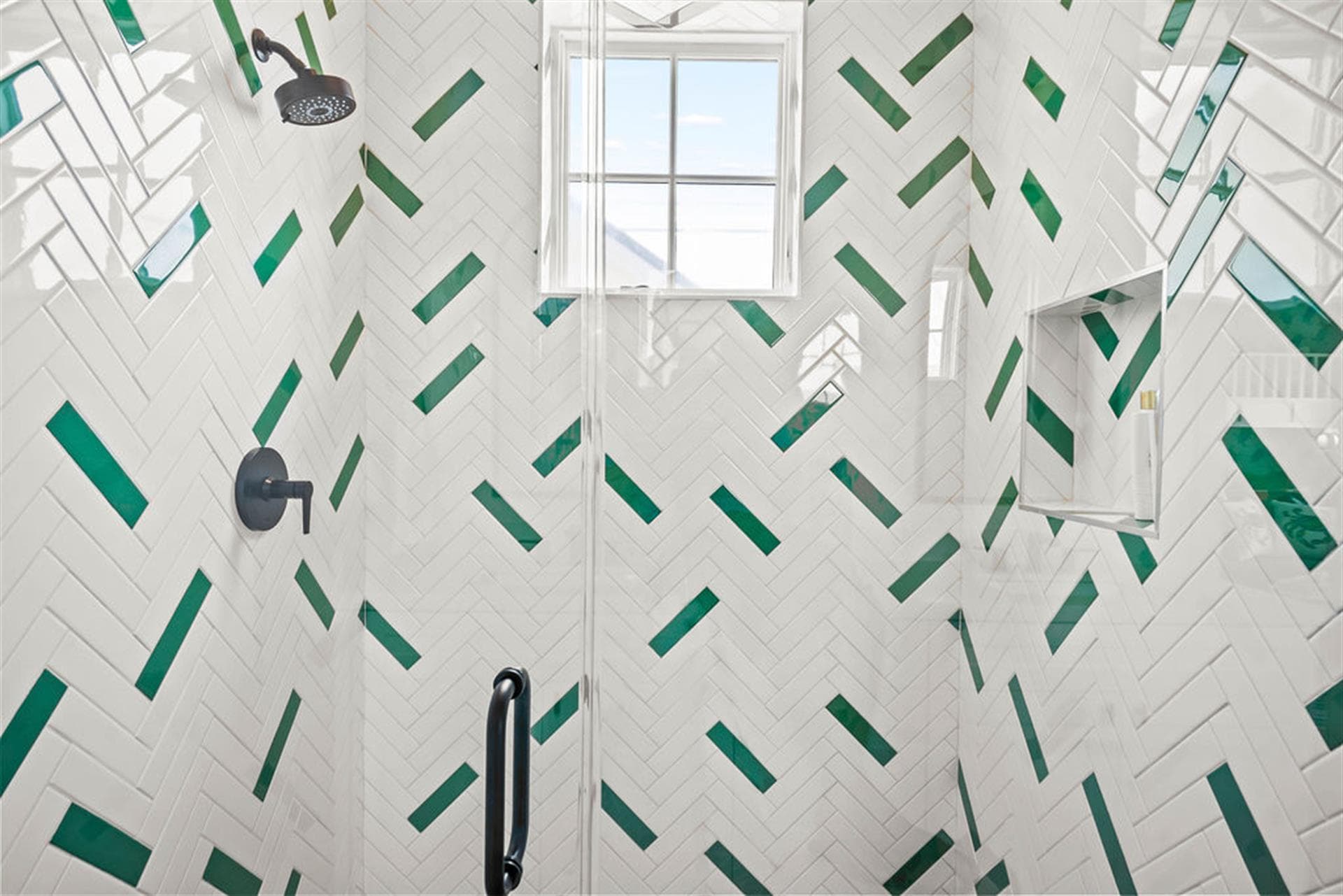 Coral Kingdom - Image 48