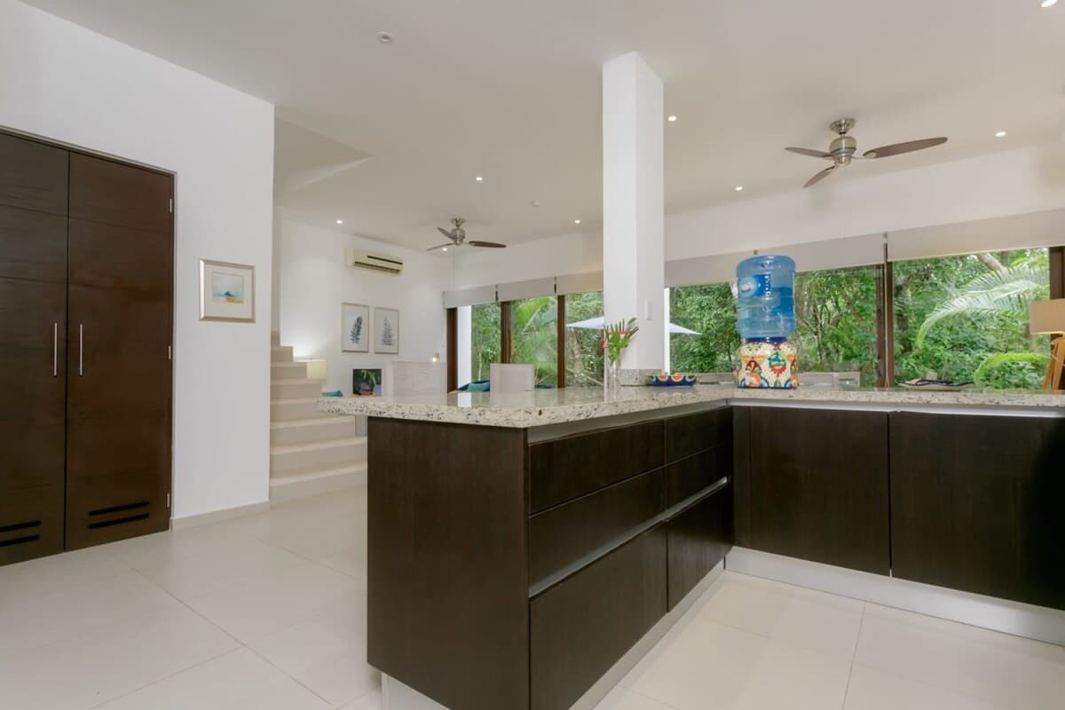 Jungle Vista - Image 11