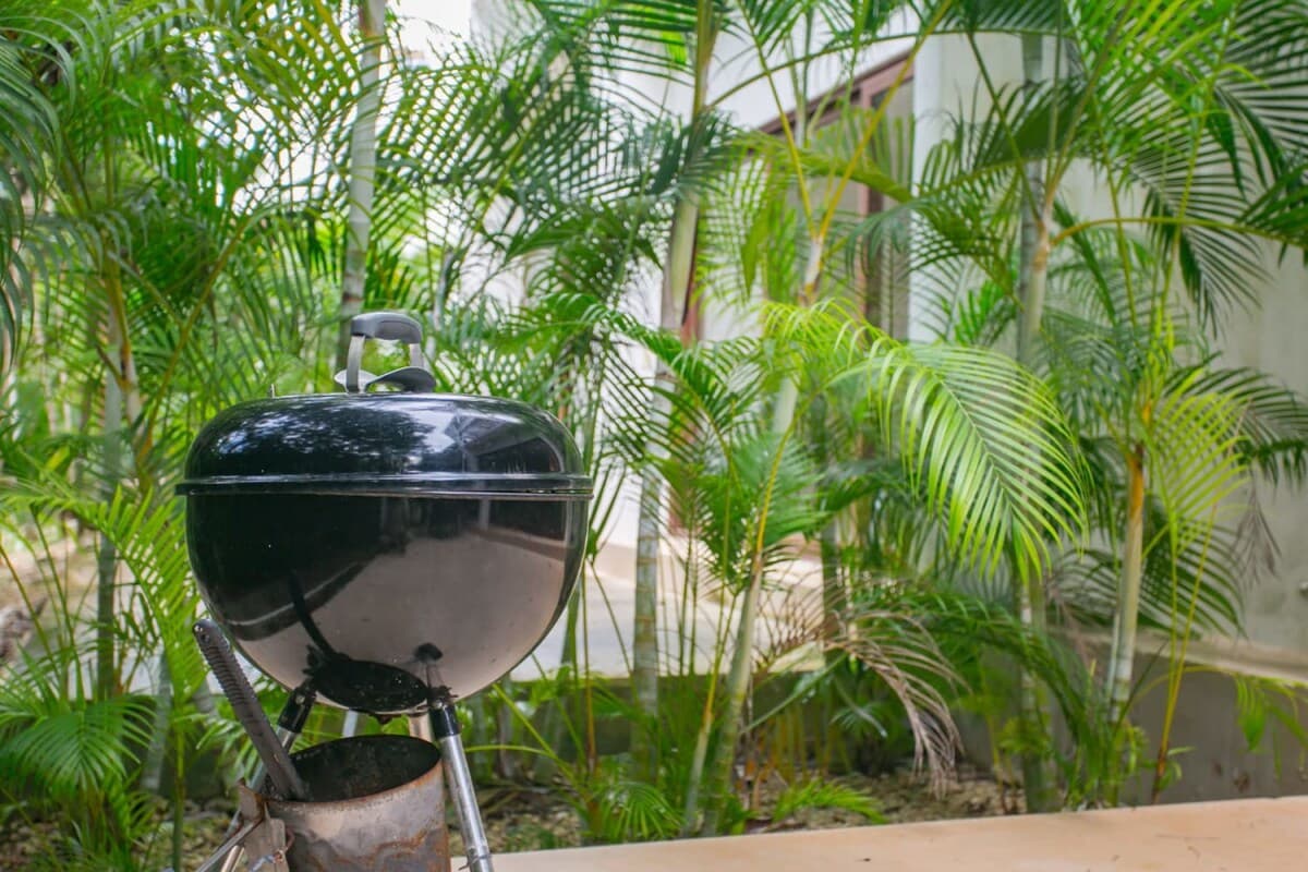 Jungle Vista - Image 34