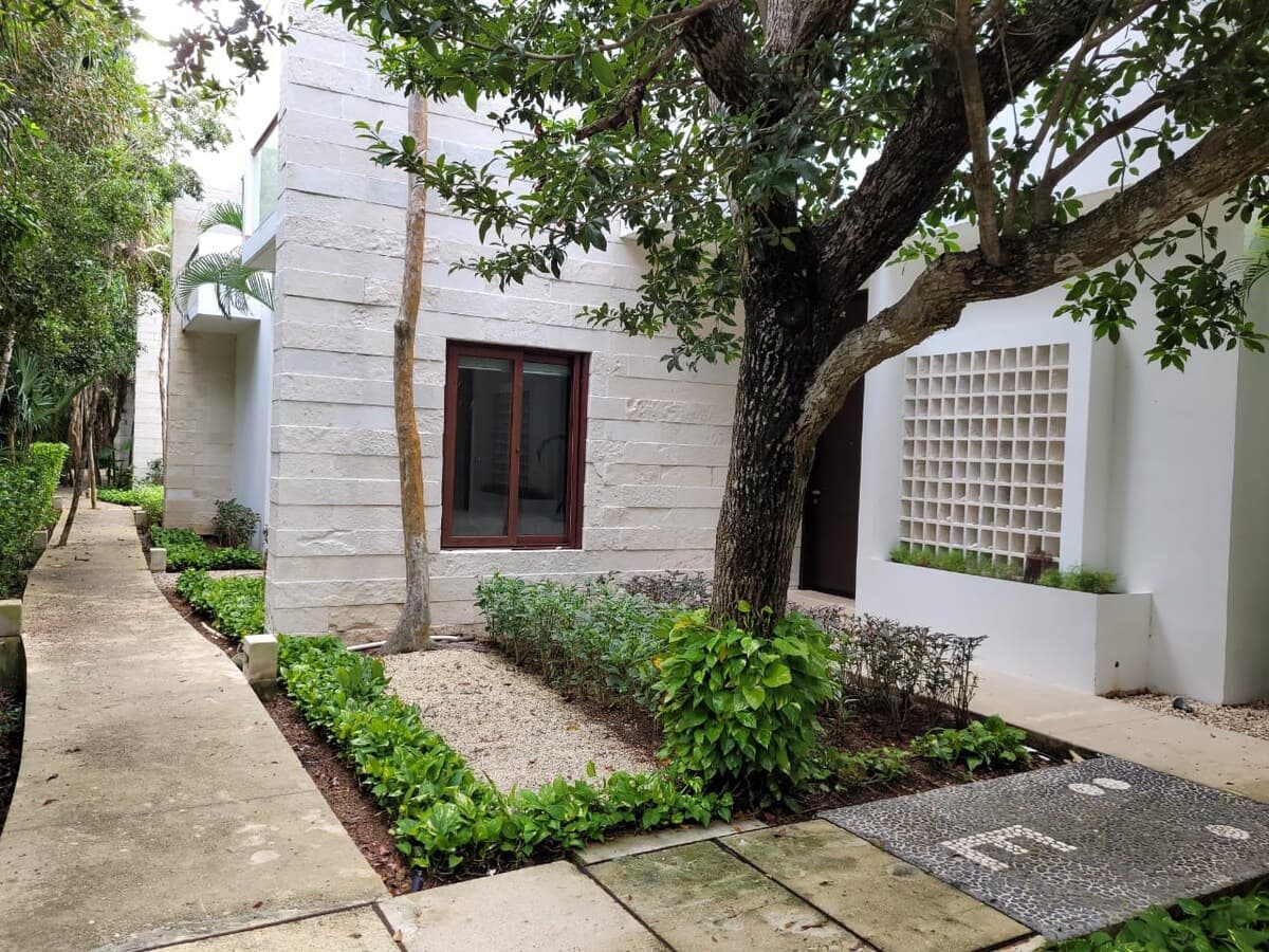 Jungle Vista - Image 37