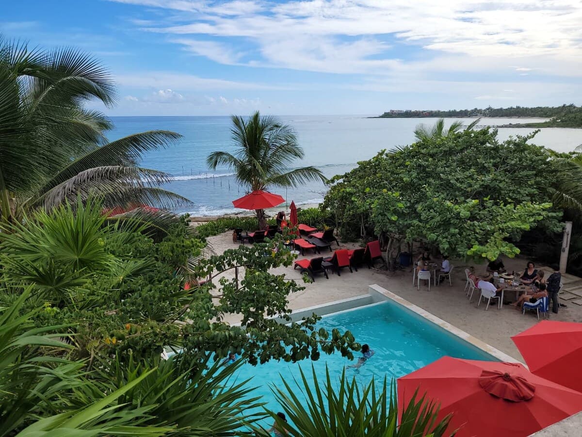 Jungle Vista - Image 38