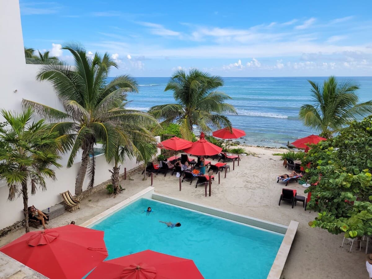 Jungle Vista - Image 2