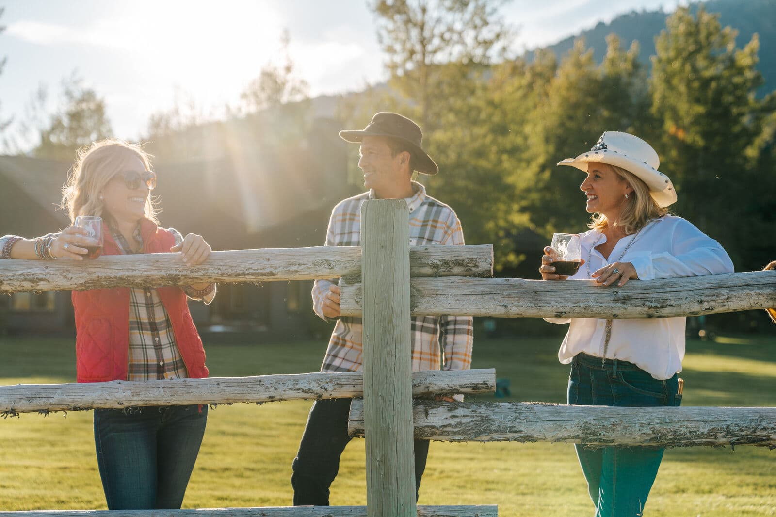 Open Meadows - Image 67