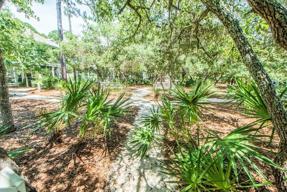 Anchors Up - Image 19