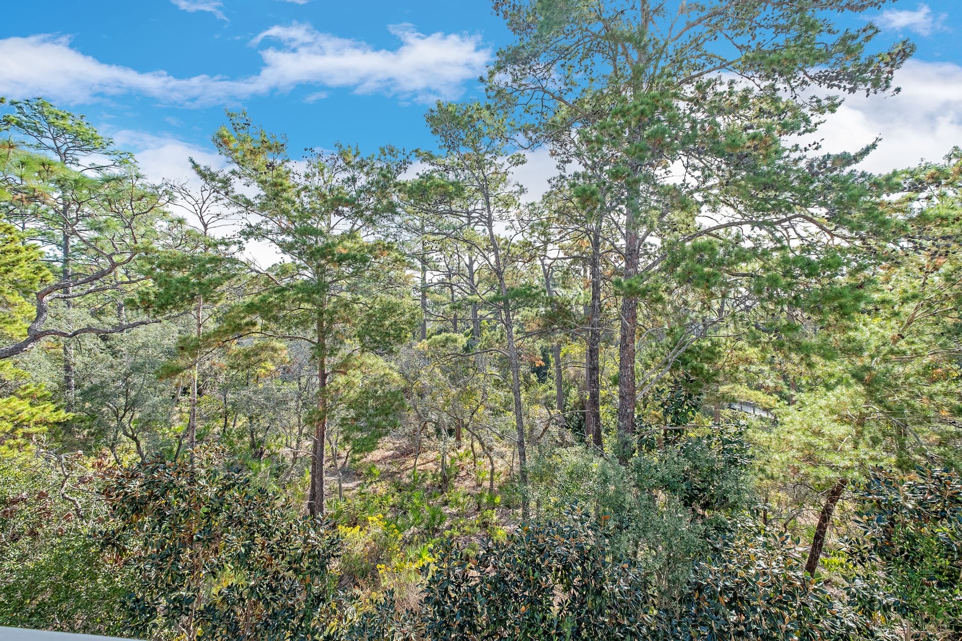 Magnolia Way - Image 52