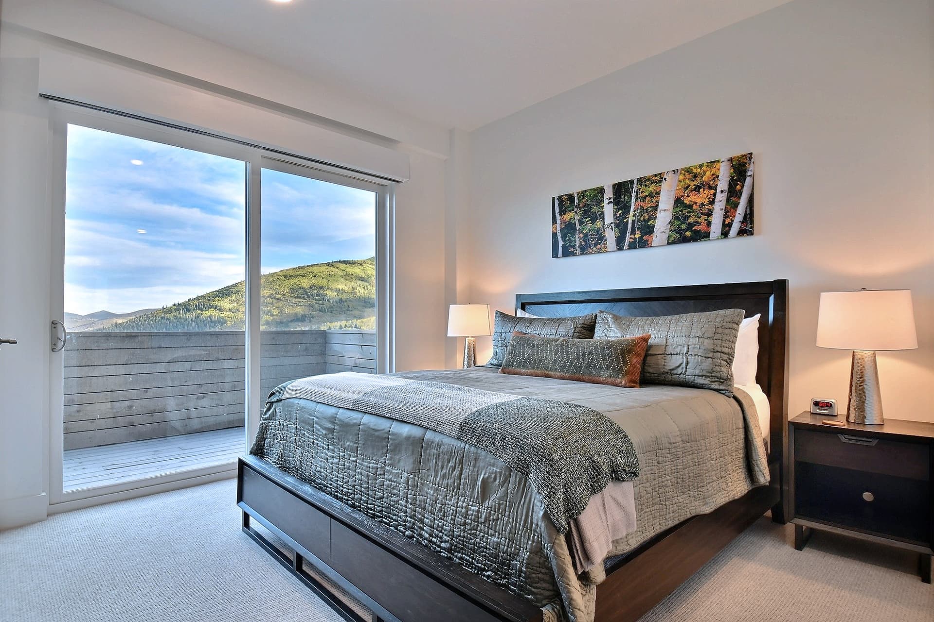 Apex Residences #2201 - Image 28