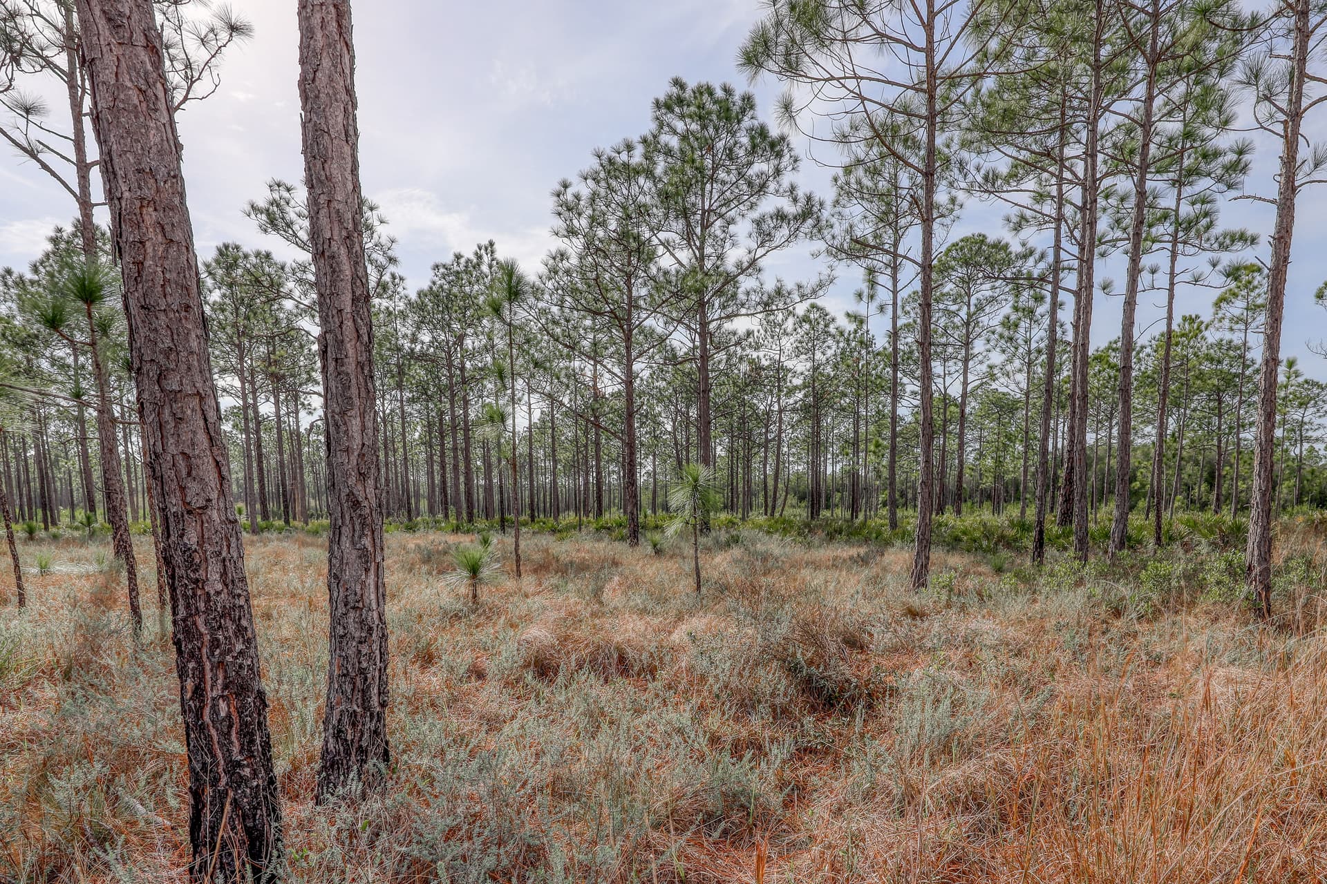 Sanctuary by the Sea 2122 Home - Image 26