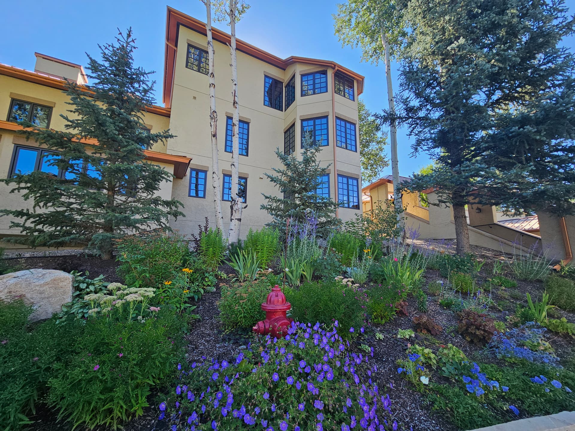 Atriums #26 - Image 87