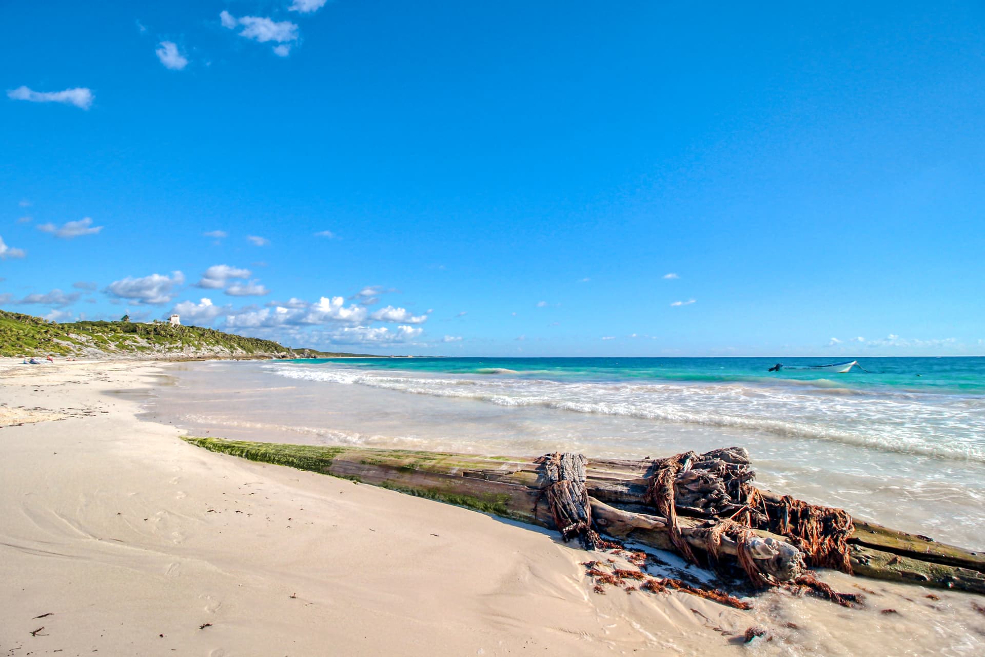 Gardens Coba - Image 25