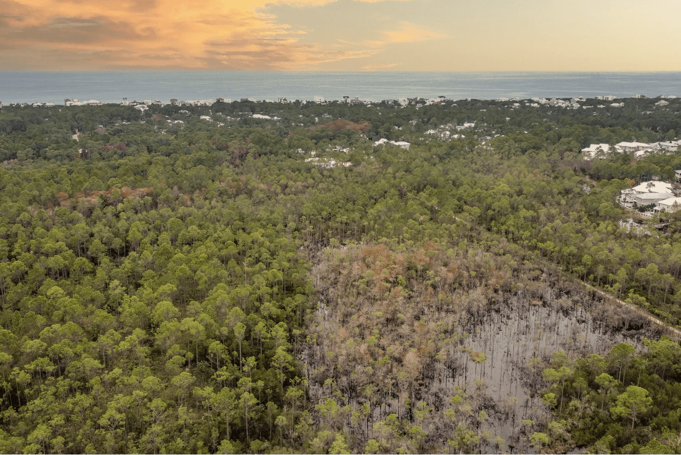 Pearl Paradise - Image 26