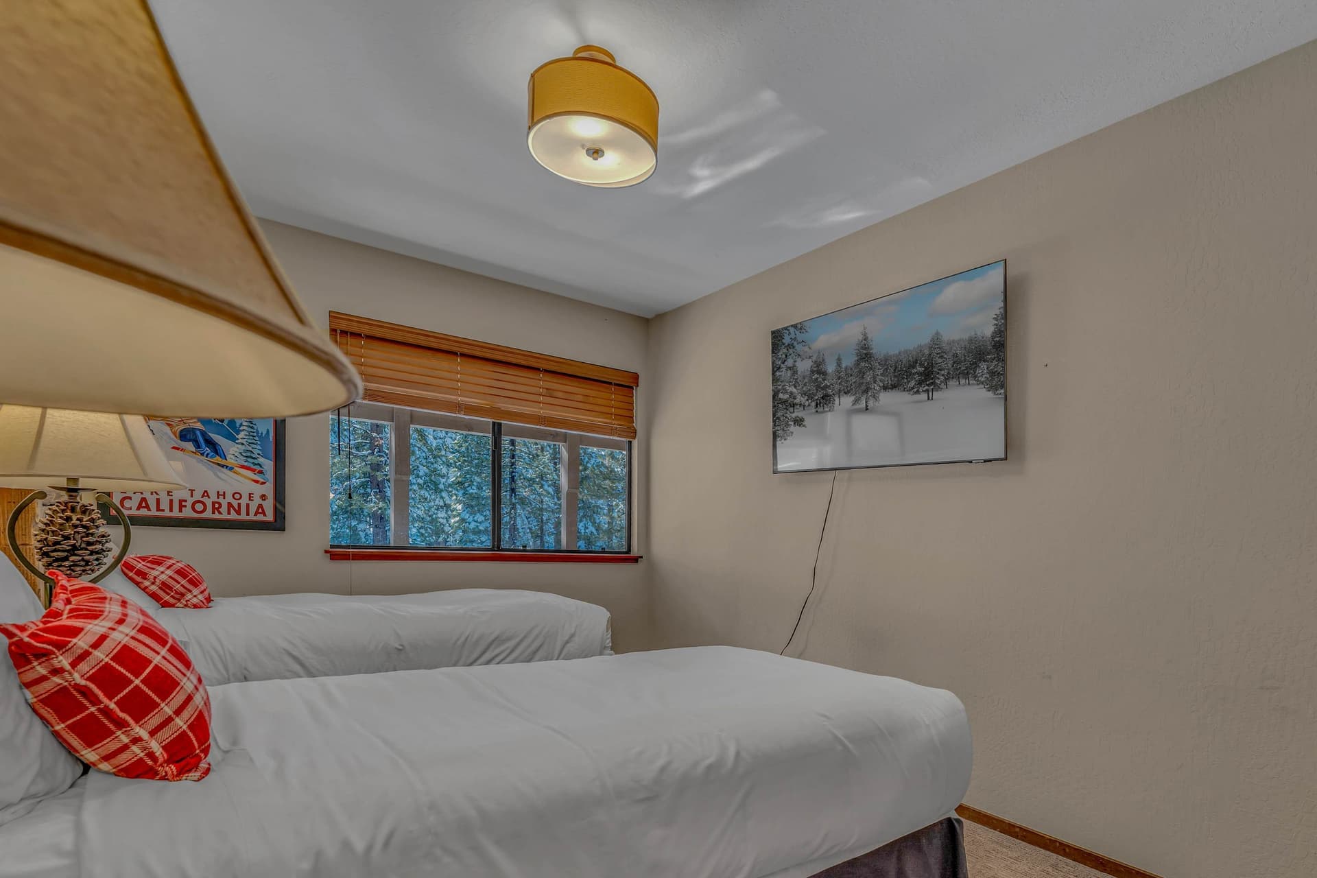 Lazy Bear - Image 20