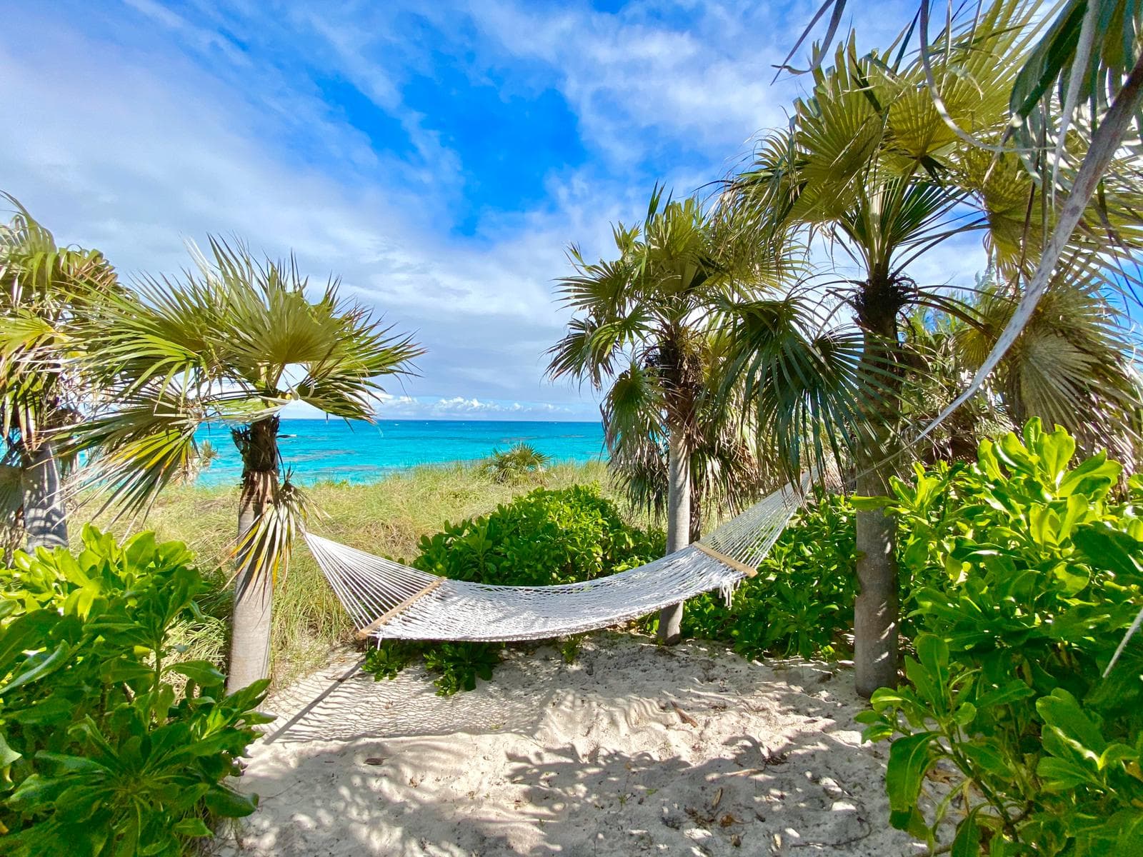 Azure Banks - Image 18