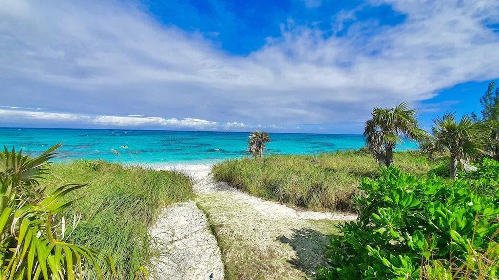 Azure Banks - Image 19